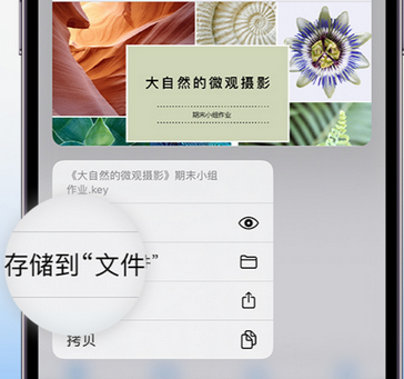 大英apple维修中心分享iPhone文件应用中存储和找到下载文件