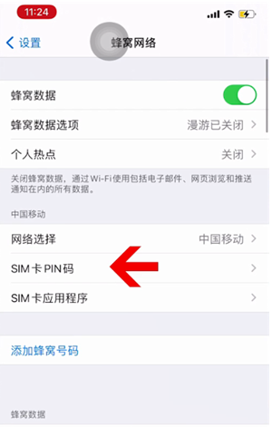 大英苹果14维修网分享如何给iPhone14的SIM卡设置密码 