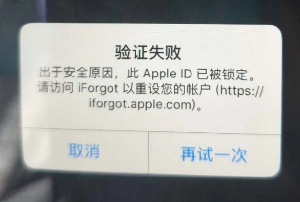 大英iPhone维修分享iPhone上正常登录或使用AppleID怎么办 