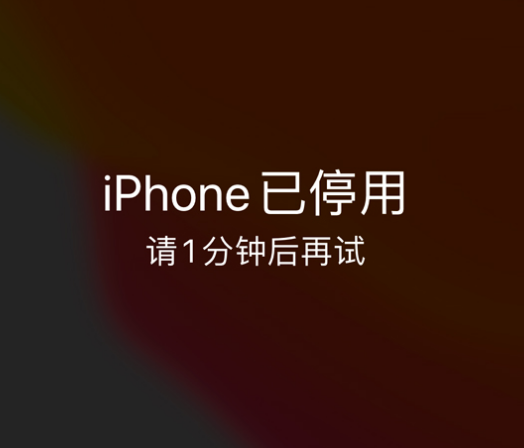 大英苹果手机维修分享:iPhone 显示“不可用”或“已停用”怎么办？还能保留数据吗？ 