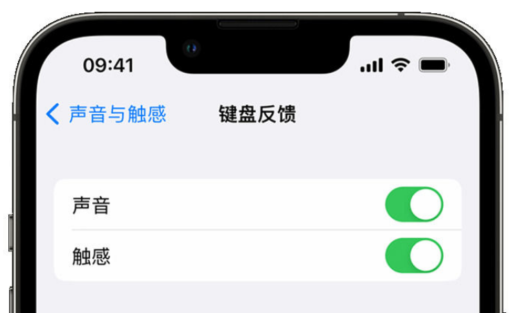 大英苹果手机维修分享iPhone 14触感键盘使用方法 