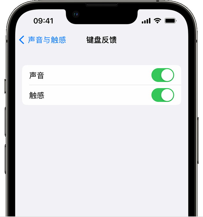 大英苹果14维修店分享如何在 iPhone 14 机型中使用触感键盘 