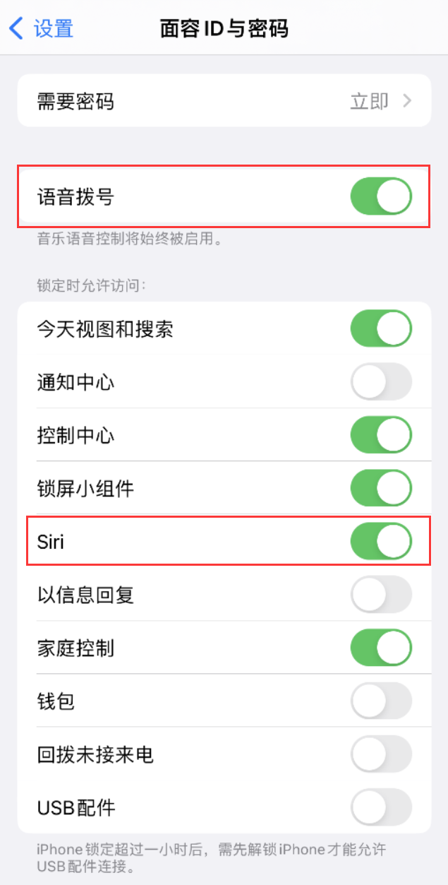 大英苹果维修网点分享不解锁 iPhone 的情况下通过 Siri 拨打电话的方法 