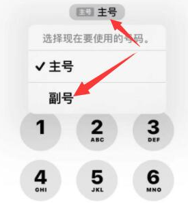 大英苹果14维修店分享iPhone 14 Pro Max使用副卡打电话的方法 