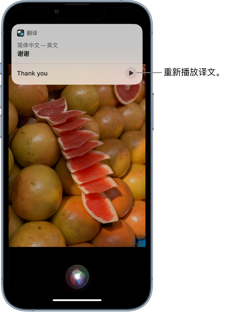 大英苹果14维修分享 iPhone 14 机型中使用 Siri：了解 Siri 能帮你做什么 