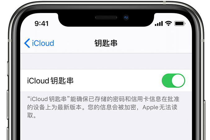 大英苹果手机维修分享在 iPhone 上开启 iCloud 钥匙串之后会储存哪些信息 