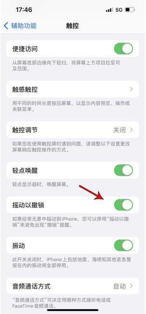 大英苹果手机维修分享iPhone手机如何设置摇一摇删除文字 